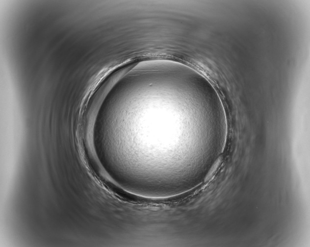 X0000085740193200703161035
