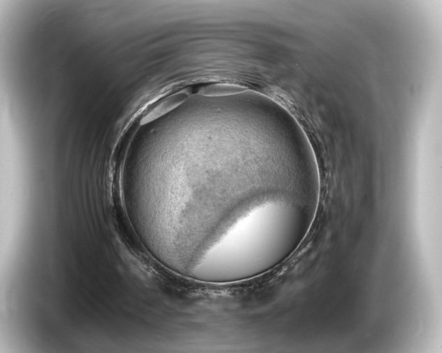 X0000085740194200703161035