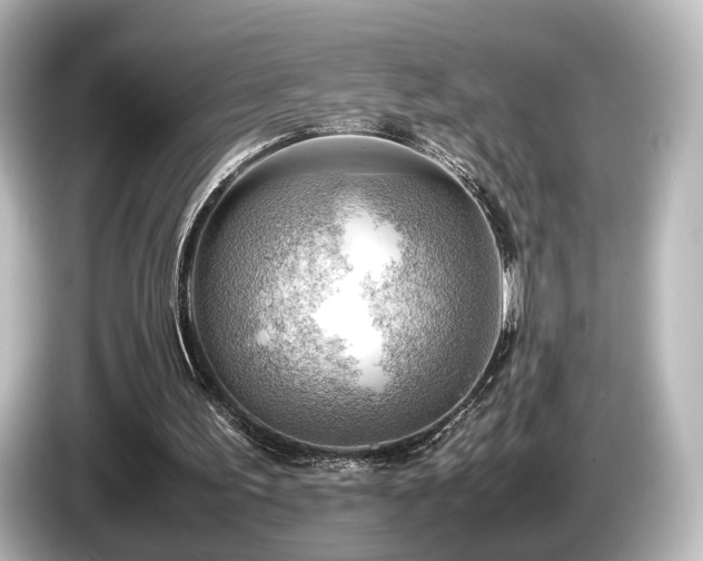 X0000085740195200703161035
