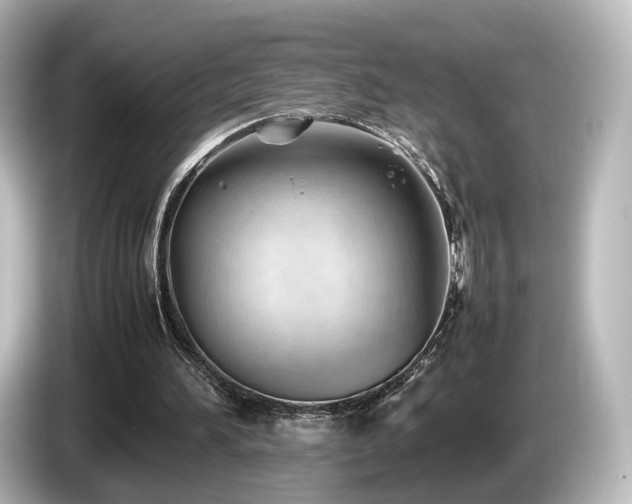 X0000085740196200703161035