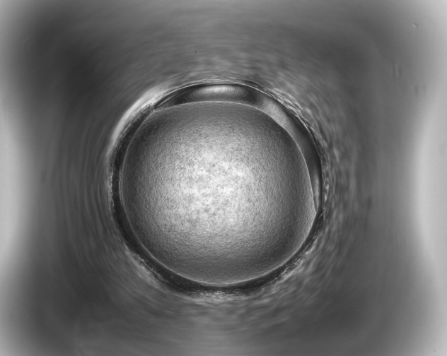X0000085740197200703161035
