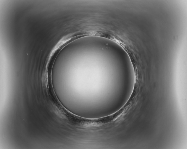 X0000085740198200703161035