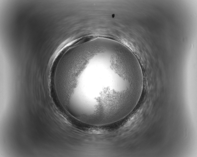 X0000085740199200703161035