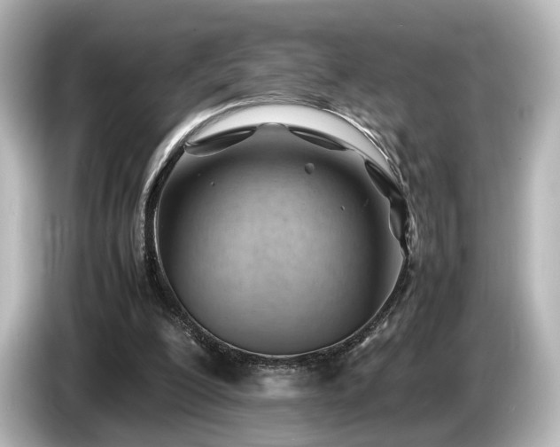 X0000085740200200703161035