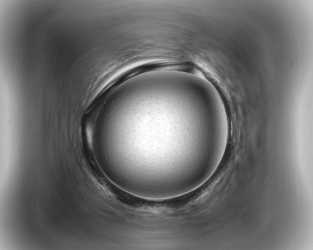 X0000085740201200703161035