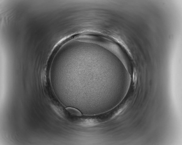 X0000085740204200703161035