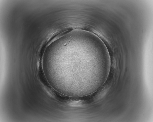 X0000085740206200703161035