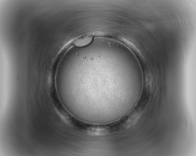 X0000085740208200703161035