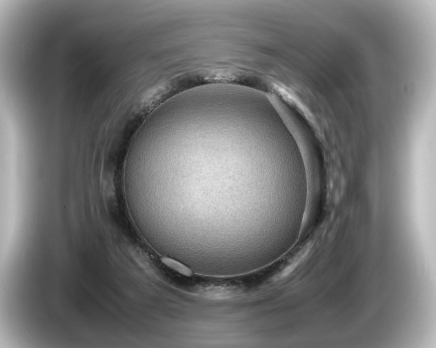 X0000085740209200703161035