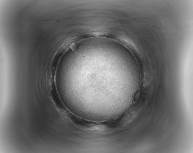 X0000085740210200703161035