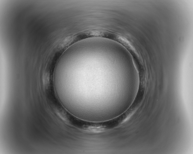 X0000085740213200703161035
