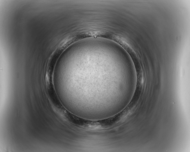 X0000085740214200703161035