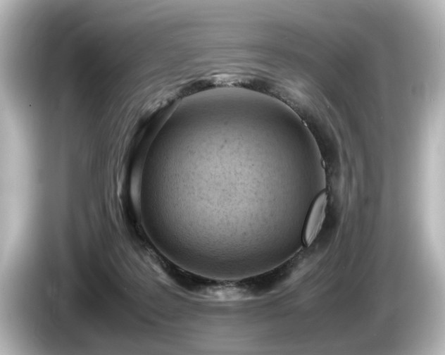 X0000085740219200703161035