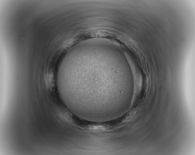 X0000085740224200703161035