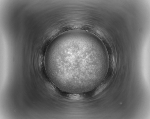 X0000085740230200703161035