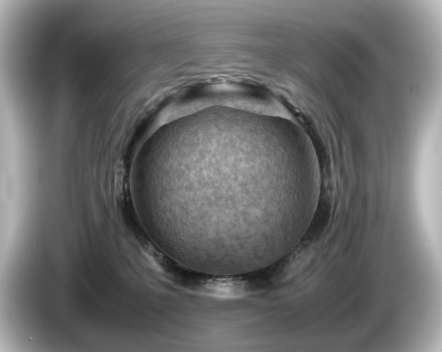 X0000085740231200703161035