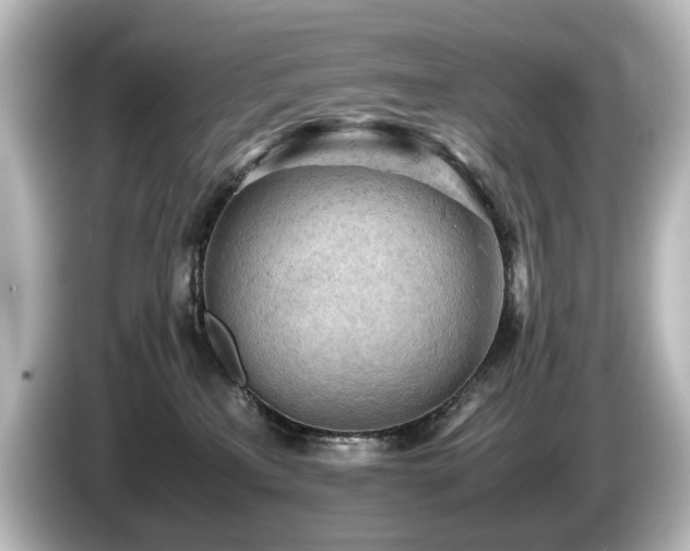 X0000085740233200703161035