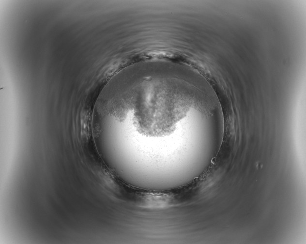 X0000085740234200703161035