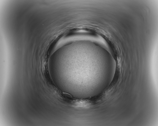 X0000085740235200703161035