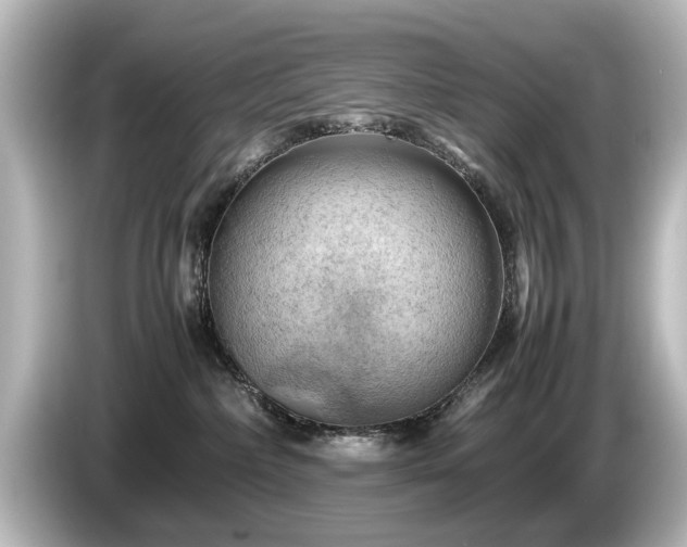 X0000085740236200703161035