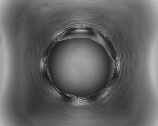 X0000085740239200703161035