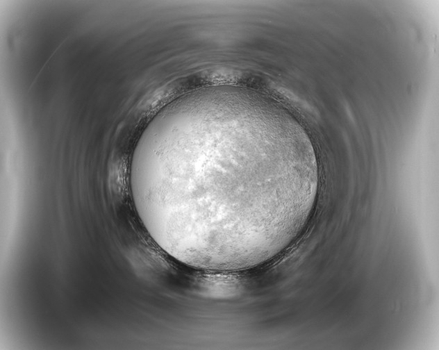 X0000085740240200703161035