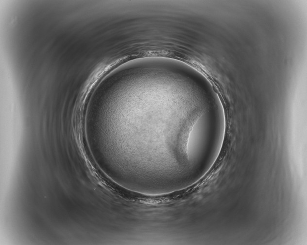 X0000085740241200703161034