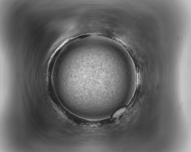 X0000085740243200703161034