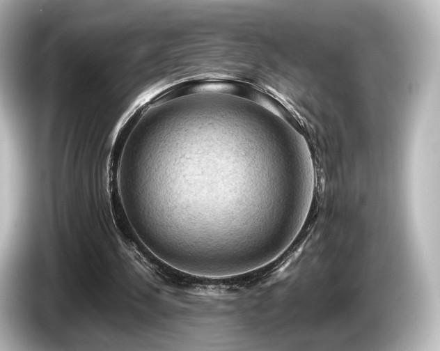 X0000085740244200703161034