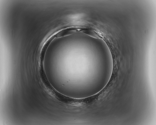 X0000085740247200703161034