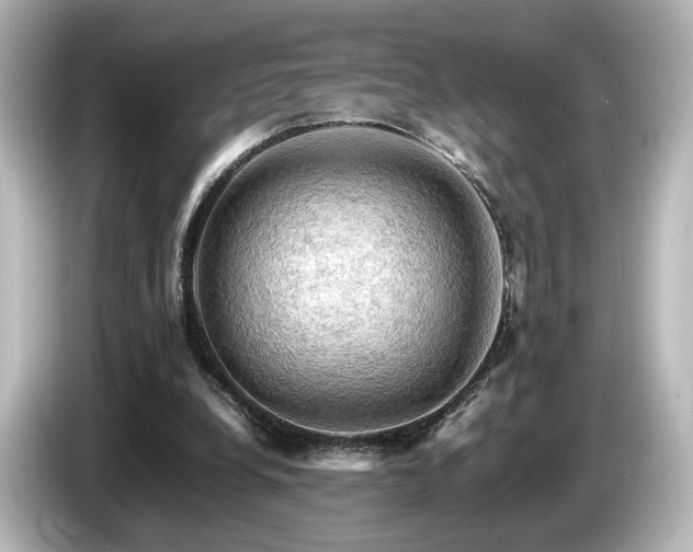 X0000085740248200703161034