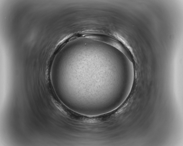 X0000085740249200703161034