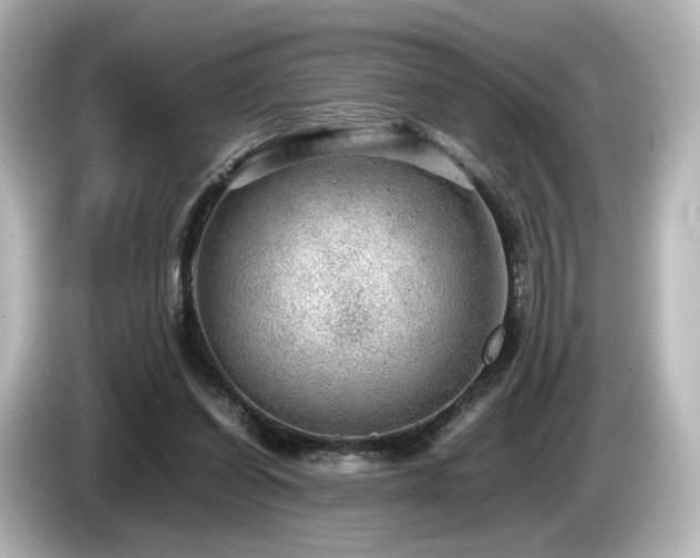 X0000085740254200703161034