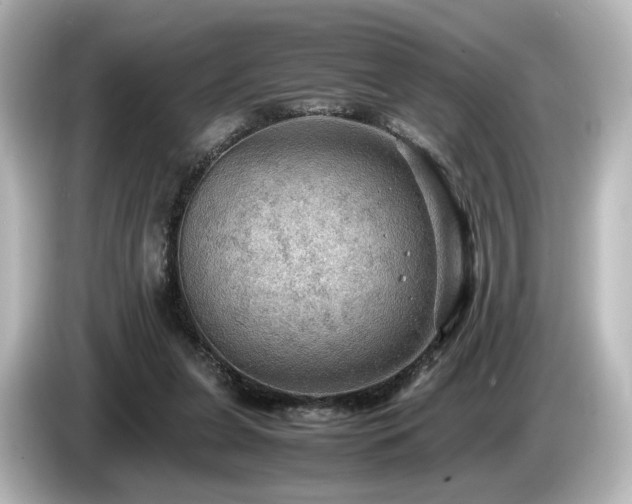 X0000085740255200703161034