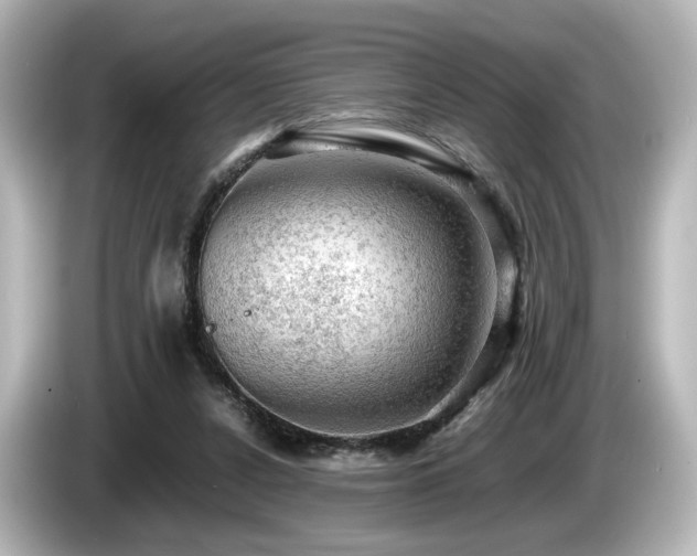 X0000085740256200703161034