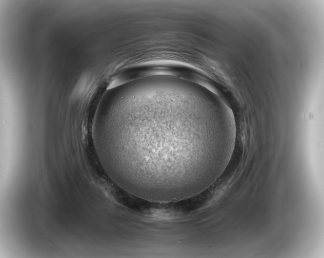 X0000085740259200703161034