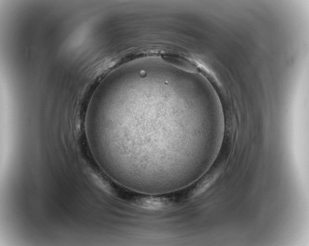 X0000085740261200703161034