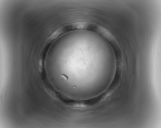 X0000085740262200703161034