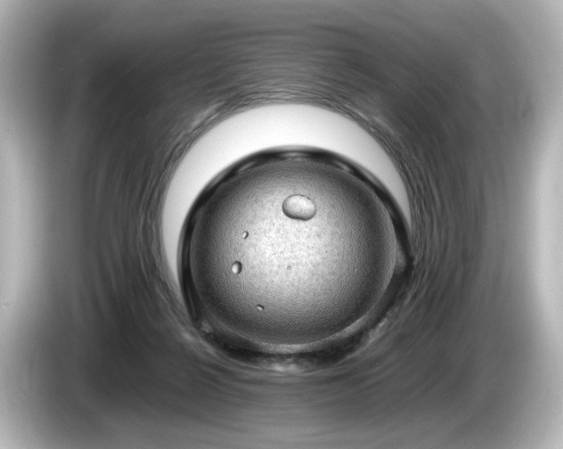X0000085740264200703161034