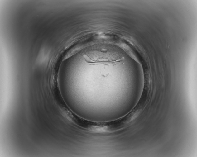 X0000085740266200703161034