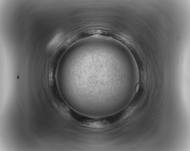 X0000085740267200703161034