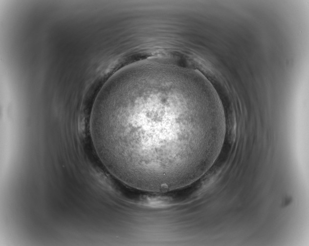 X0000085740268200703161034