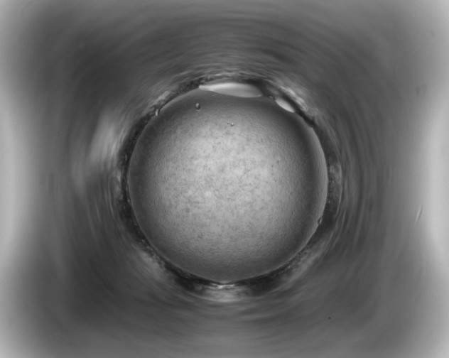X0000085740269200703161034