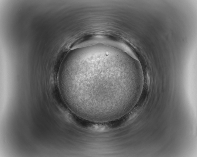 X0000085740272200703161035