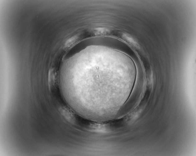 X0000085740276200703161035