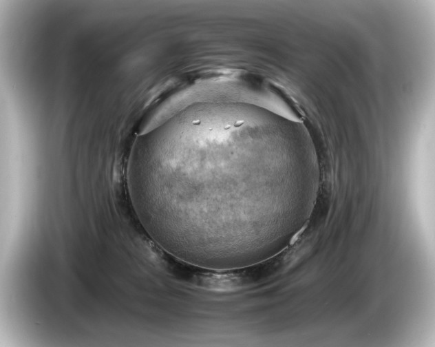 X0000085740277200703161035