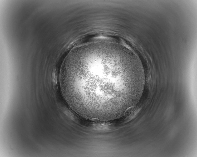 X0000085740282200703161035