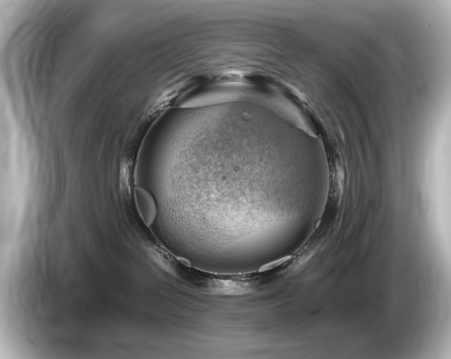 X0000085740286200703161035