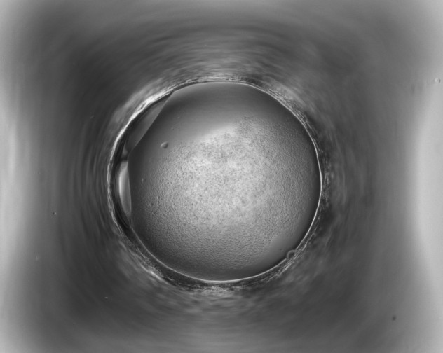 X0000085740290200703161034
