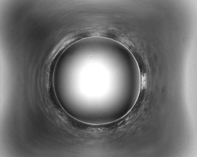 X0000085740291200703161034
